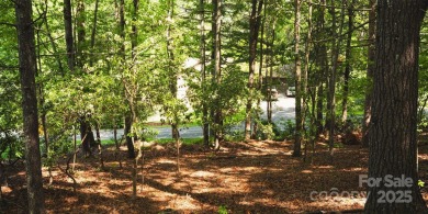 This lot presents a rare opportunity to build in a prime on Etowah Valley Golf Club in North Carolina - for sale on GolfHomes.com, golf home, golf lot