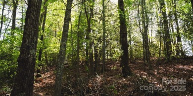 This lot presents a rare opportunity to build in a prime on Etowah Valley Golf Club in North Carolina - for sale on GolfHomes.com, golf home, golf lot