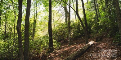 This lot presents a rare opportunity to build in a prime on Etowah Valley Golf Club in North Carolina - for sale on GolfHomes.com, golf home, golf lot
