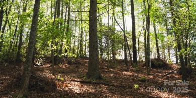 This lot presents a rare opportunity to build in a prime on Etowah Valley Golf Club in North Carolina - for sale on GolfHomes.com, golf home, golf lot