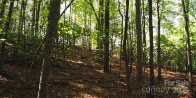 This lot presents a rare opportunity to build in a prime on Etowah Valley Golf Club in North Carolina - for sale on GolfHomes.com, golf home, golf lot
