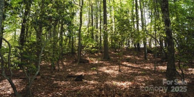 This lot presents a rare opportunity to build in a prime on Etowah Valley Golf Club in North Carolina - for sale on GolfHomes.com, golf home, golf lot