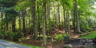 This lot presents a rare opportunity to build in a prime on Etowah Valley Golf Club in North Carolina - for sale on GolfHomes.com, golf home, golf lot