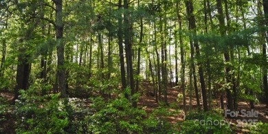 This lot presents a rare opportunity to build in a prime on Etowah Valley Golf Club in North Carolina - for sale on GolfHomes.com, golf home, golf lot