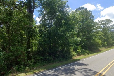 Discover the charm of Mill Creek Golf Course living! This on Mill Creek Golf Course in Alabama - for sale on GolfHomes.com, golf home, golf lot
