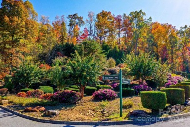 Ready to live in a desirable Lake Lure community on a buildable on Lake Lure Municipal Golf Course in North Carolina - for sale on GolfHomes.com, golf home, golf lot