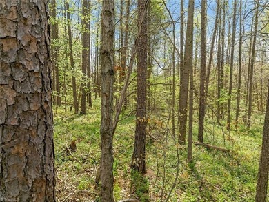 Don't miss this opportunity to build in the sought-after Oak on Oak Valley Golf Club in North Carolina - for sale on GolfHomes.com, golf home, golf lot