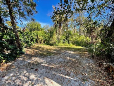 Absolutely stunning 4 bedroom, 2 bath executive home on almost 2 on Walden Lake Golf and Country Club  in Florida - for sale on GolfHomes.com, golf home, golf lot