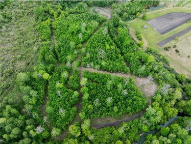 Seize the chance to develop 31.39 acres of prime real estate on Princeton Golf Course in Minnesota - for sale on GolfHomes.com, golf home, golf lot