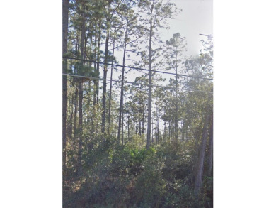Beautiful very rare 4.313 Acres of flat lot at Ralston street on Wedgefield Golf Club in Florida - for sale on GolfHomes.com, golf home, golf lot