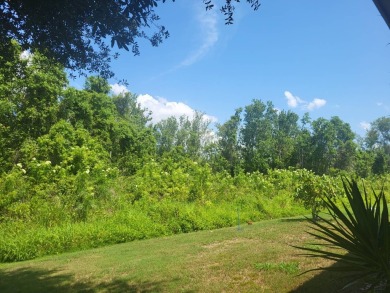 2/2 home has open floor plan. Large eat-in kitchen has lots of on Lake Henry Golf Club in Florida - for sale on GolfHomes.com, golf home, golf lot