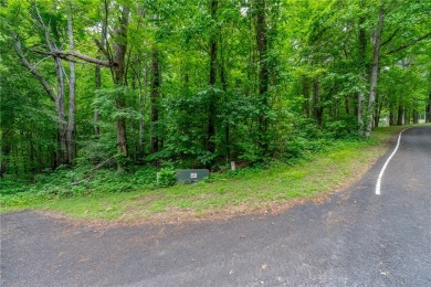 Private Mountain Retreat with Waterfall on 3.4 Acres. Discover on The Cliffs at Glassy Golf and Country Club in South Carolina - for sale on GolfHomes.com, golf home, golf lot