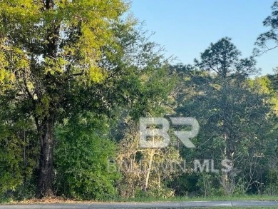 Already cleared residential lot in the sought after TimberCreek on TimberCreek Golf Club in Alabama - for sale on GolfHomes.com, golf home, golf lot