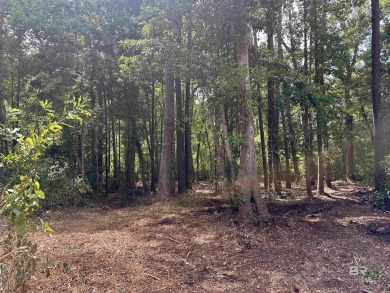 Build your dream home in the desirable subdivision of Polo Ridge on Lakewood Golf Club in Alabama - for sale on GolfHomes.com, golf home, golf lot