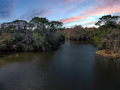 Under contract-accepting backup offers. Welcome Home to 1532 on East Lake Woodlands Country Club in Florida - for sale on GolfHomes.com, golf home, golf lot