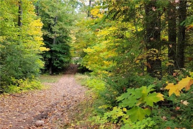 This wooded lot is perfect for a walkout home or cabin  between on Lakewoods Forest Ridges Golf Club in Wisconsin - for sale on GolfHomes.com, golf home, golf lot