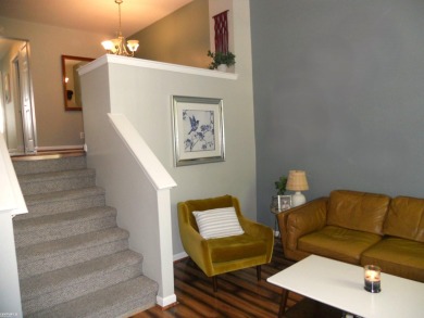 BEAUTIFULLY UPGRADED, SPOTLESS TOWNHOUSE CONDO IN CENTRAL SHELBY on Cherry Creek Golf Club in Michigan - for sale on GolfHomes.com, golf home, golf lot