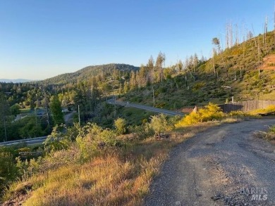 Build your dream home on this premium Cobb Mountain 1 acre lot on Adam Springs Golf Course in California - for sale on GolfHomes.com, golf home, golf lot