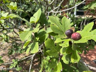 Welcome to Leisure Village East's ''CLAIM TO FAME'' - 1028B on Leisure Village East in New Jersey - for sale on GolfHomes.com, golf home, golf lot