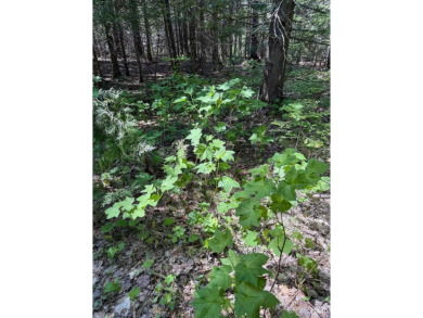 This attractive Keweenaw parcel is ready for your next getaway on Sandy Pebbles Golf Course in Michigan - for sale on GolfHomes.com, golf home, golf lot
