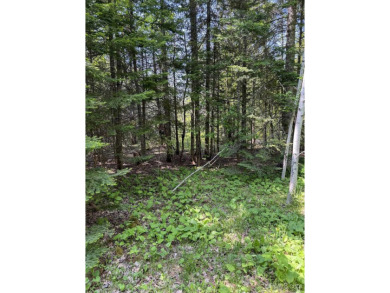 This attractive Keweenaw parcel is ready for your next getaway on Sandy Pebbles Golf Course in Michigan - for sale on GolfHomes.com, golf home, golf lot