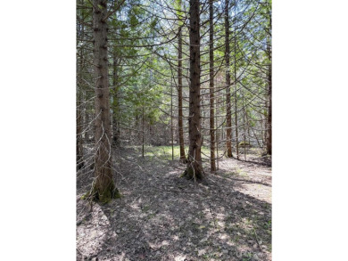 This attractive Keweenaw parcel is ready for your next getaway on Sandy Pebbles Golf Course in Michigan - for sale on GolfHomes.com, golf home, golf lot