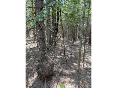 This attractive Keweenaw parcel is ready for your next getaway on Sandy Pebbles Golf Course in Michigan - for sale on GolfHomes.com, golf home, golf lot