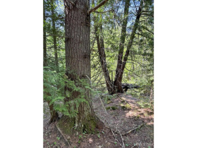 This attractive Keweenaw parcel is ready for your next getaway on Sandy Pebbles Golf Course in Michigan - for sale on GolfHomes.com, golf home, golf lot