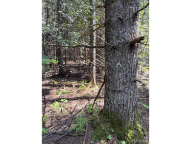 This attractive Keweenaw parcel is ready for your next getaway on Sandy Pebbles Golf Course in Michigan - for sale on GolfHomes.com, golf home, golf lot
