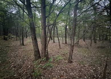 Discover this stunning, oversized corner lot spanning nearly on Rock Creek Golf Club in Texas - for sale on GolfHomes.com, golf home, golf lot