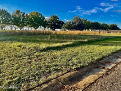 This fabulous 0.53-acre lot is level and has a great view of the on Southern Hills Golf Club in Georgia - for sale on GolfHomes.com, golf home, golf lot