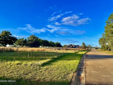 This fabulous 0.53-acre lot is level and has a great view of the on Southern Hills Golf Club in Georgia - for sale on GolfHomes.com, golf home, golf lot