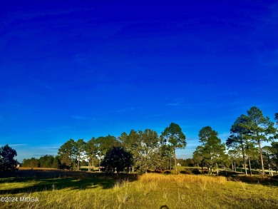 This fabulous 0.53-acre lot is level and has a great view of the on Southern Hills Golf Club in Georgia - for sale on GolfHomes.com, golf home, golf lot