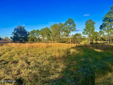 This fabulous 0.53-acre lot is level and has a great view of the on Southern Hills Golf Club in Georgia - for sale on GolfHomes.com, golf home, golf lot