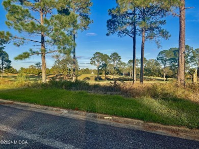 This fabulous 0.53-acre lot is level and has a great view of the on Southern Hills Golf Club in Georgia - for sale on GolfHomes.com, golf home, golf lot