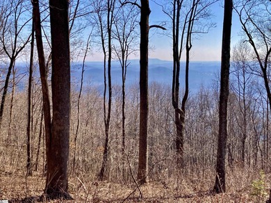 Nestled in the mountains just minutes from Greenville, SC, make on The Cliffs Valley Golf Course in South Carolina - for sale on GolfHomes.com, golf home, golf lot