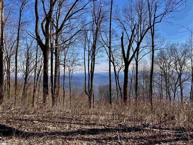 Nestled in the mountains just minutes from Greenville, SC, make on The Cliffs Valley Golf Course in South Carolina - for sale on GolfHomes.com, golf home, golf lot