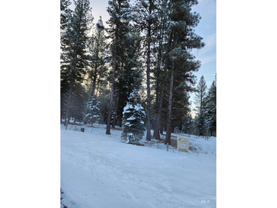 BUILD YOUR DREAM HOME in Jug Mountain! No need to install well on Jug Mountain Ranch Golf Course in Idaho - for sale on GolfHomes.com, golf home, golf lot