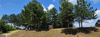 Discover the perfect setting for your dream home at 915 on Currahee Golf Club in Georgia - for sale on GolfHomes.com, golf home, golf lot