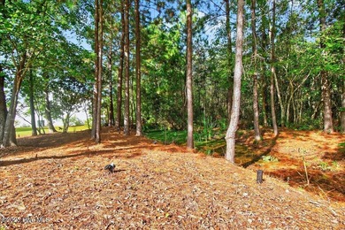 Welcome to New South Bridge!

Located in the amenity-rich New on Lennon Hills Golf Course in North Carolina - for sale on GolfHomes.com, golf home, golf lot