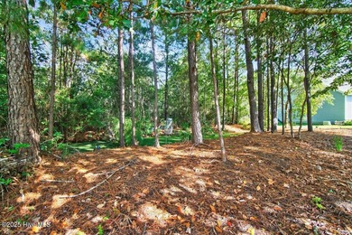 Welcome to New South Bridge!

Located in the amenity-rich New on Lennon Hills Golf Course in North Carolina - for sale on GolfHomes.com, golf home, golf lot