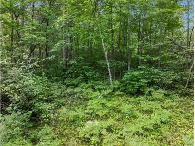 Up North Living Starts Here - Heavily Wooded Lots with Seller on Breezy Point Golf Course Resort in Minnesota - for sale on GolfHomes.com, golf home, golf lot