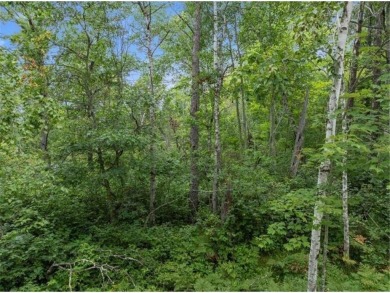 Up North Living Starts Here - Heavily Wooded Lots with Seller on Breezy Point Golf Course Resort in Minnesota - for sale on GolfHomes.com, golf home, golf lot