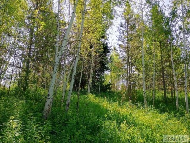 Beautiful wooded lot on the 3rd green of the Timberline Golf on Timberline Golf Course in Idaho - for sale on GolfHomes.com, golf home, golf lot