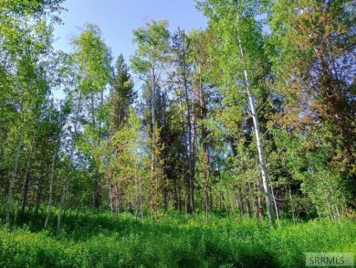 Beautiful wooded lot on the 3rd green of the Timberline Golf on Timberline Golf Course in Idaho - for sale on GolfHomes.com, golf home, golf lot