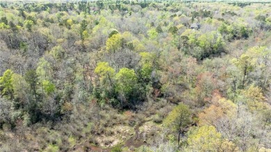 Build your dream home at 3352 Morning Mist Lane. Tucked away at on The Tradition Golf Club At Stonehouse in Virginia - for sale on GolfHomes.com, golf home, golf lot