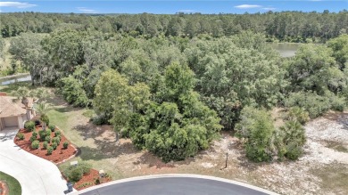 WOW!! STOP THE CAR!! AN ISLAND VACANT LOT WITH 360 DEGREE VIEWS on Lake Diamond Golf and Country Club in Florida - for sale on GolfHomes.com, golf home, golf lot