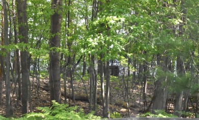 Spectacular Lake Views just waiting to be Enjoyed!! Come take a on Lakeside Golf Course in Michigan - for sale on GolfHomes.com, golf home, golf lot