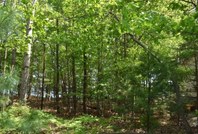 Spectacular Lake Views just waiting to be Enjoyed!! Come take a on Lakeside Golf Course in Michigan - for sale on GolfHomes.com, golf home, golf lot
