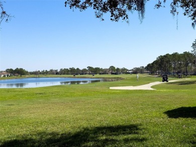 One or more photo(s) has been virtually staged. 55 plus on Falcon Watch Golf Club in Florida - for sale on GolfHomes.com, golf home, golf lot